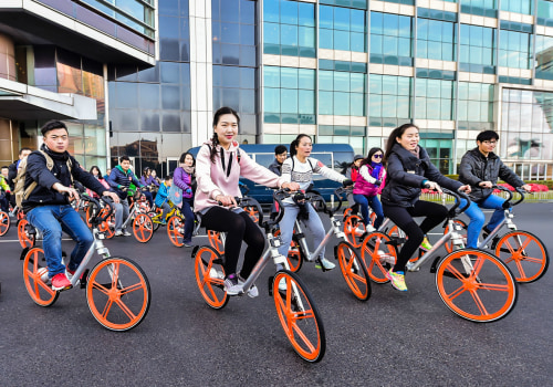 Promoting Usage and Sustainability of Bike Share Programs